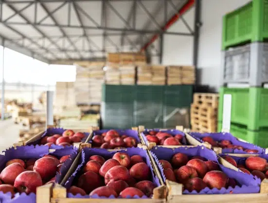 An image of a food production warehouse.