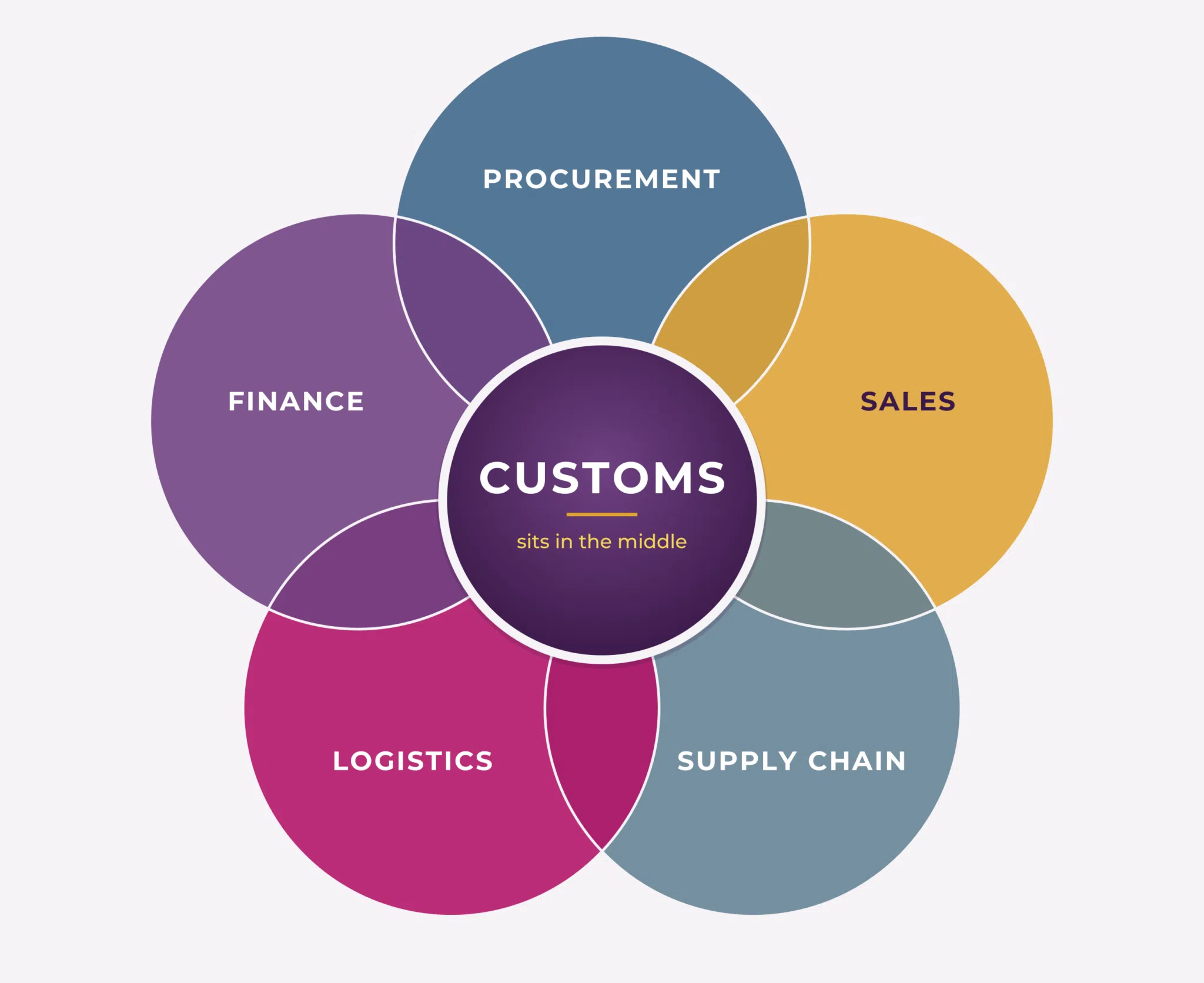 Diagram showing customs at the centre of five overlapping functions: procurement, sales, supply chain, logistics and finance